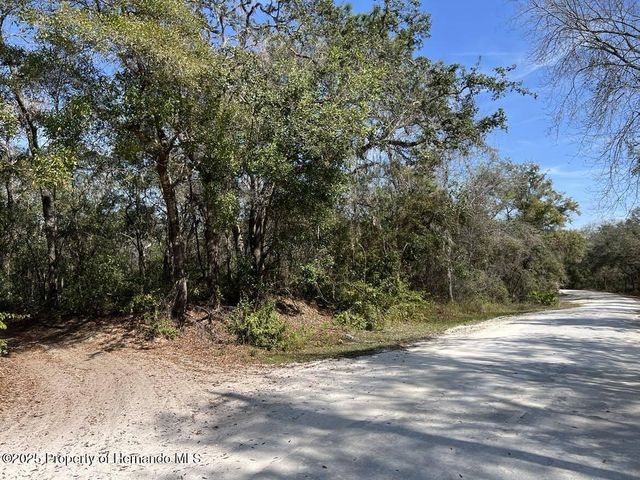 34085 Arrowrock Street, Webster, FL 33597