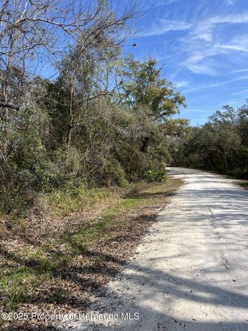 34085 Arrowrock Street, Webster, FL 33597