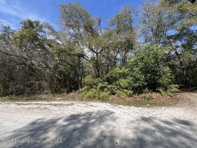 34085 Arrowrock Street, Webster, FL 33597
