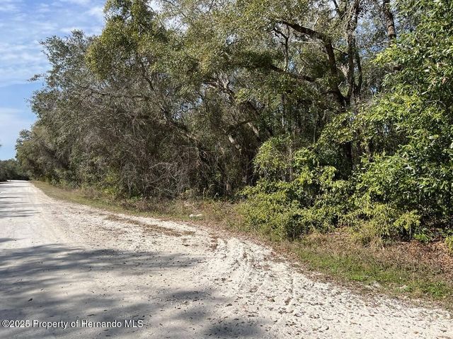 34085 Arrowrock Street, Webster, FL 33597