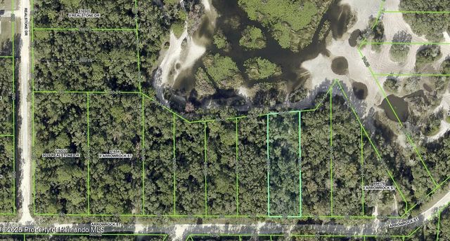 34085 Arrowrock Street, Webster, FL 33597