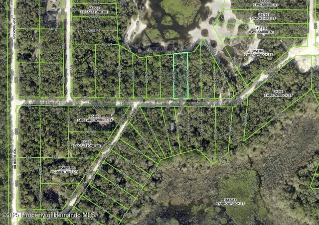 34085 Arrowrock Street, Webster, FL 33597