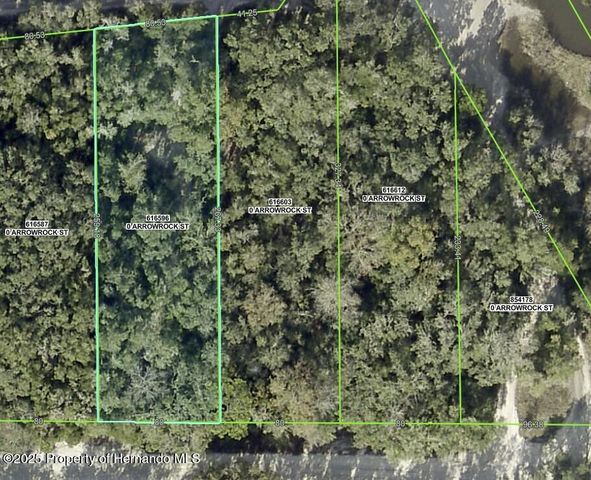 34085 Arrowrock Street, Webster, FL 33597
