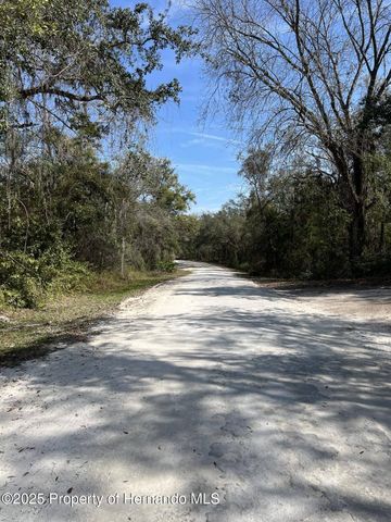 34085 Arrowrock Street, Webster, FL 33597