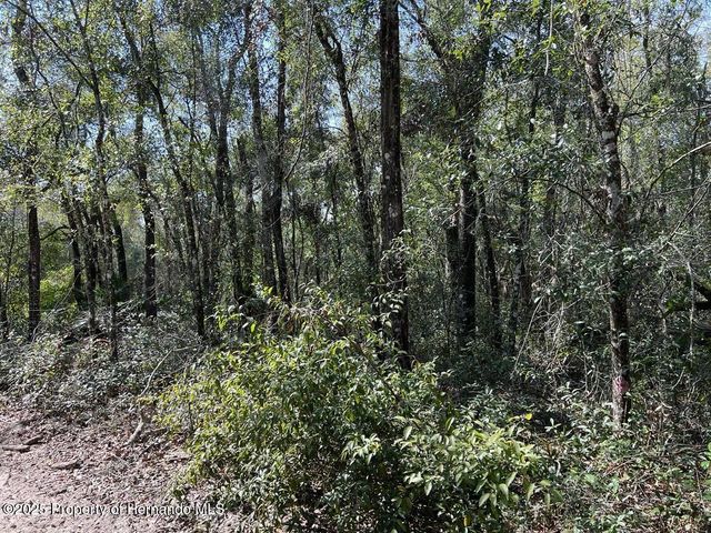 34085 Arrowrock Street, Webster, FL 33597