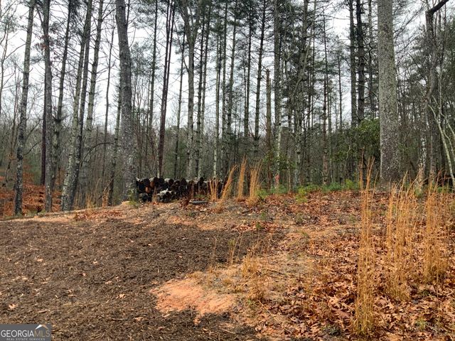 2055 Star Creek Road, Morganton, GA 30560