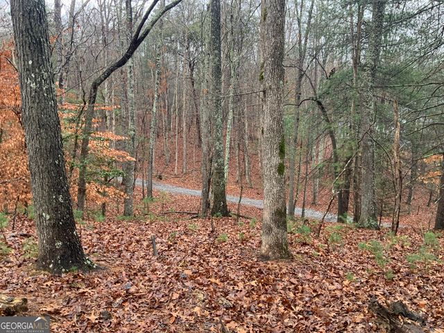 2055 Star Creek Road, Morganton, GA 30560