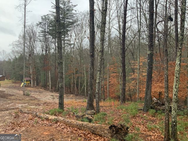 2055 Star Creek Road, Morganton, GA 30560