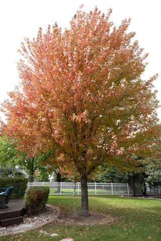 2609 Meadow Creek Circle S, Fargo, ND 58104