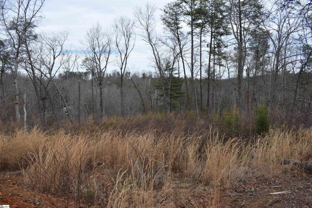 172 Winter Lane, Mill Spring, NC 28756