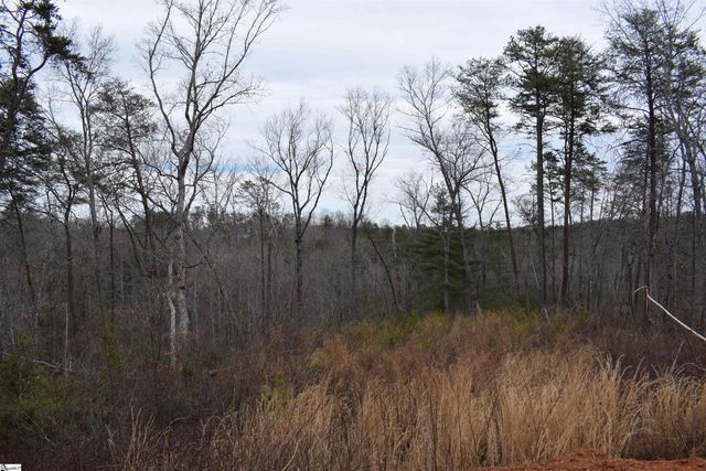 172 Winter Lane, Mill Spring, NC 28756