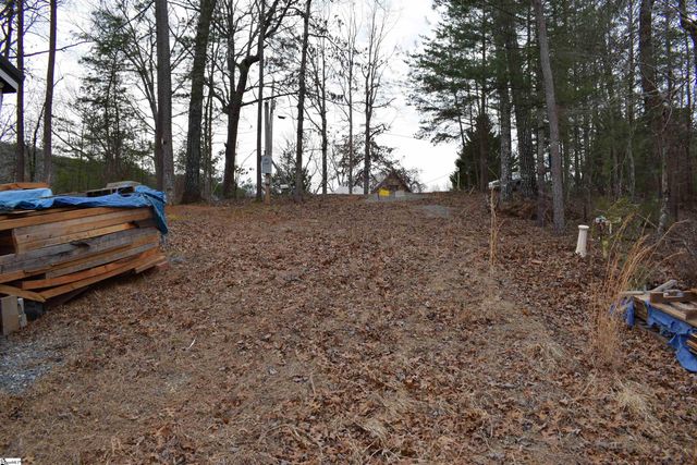 172 Winter Lane, Mill Spring, NC 28756