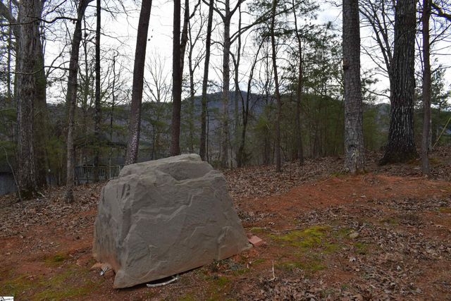 172 Winter Lane, Mill Spring, NC 28756