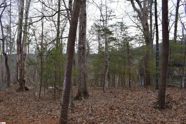 172 Winter Lane, Mill Spring, NC 28756