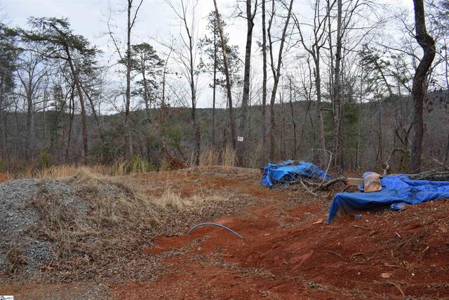 172 Winter Lane, Mill Spring, NC 28756