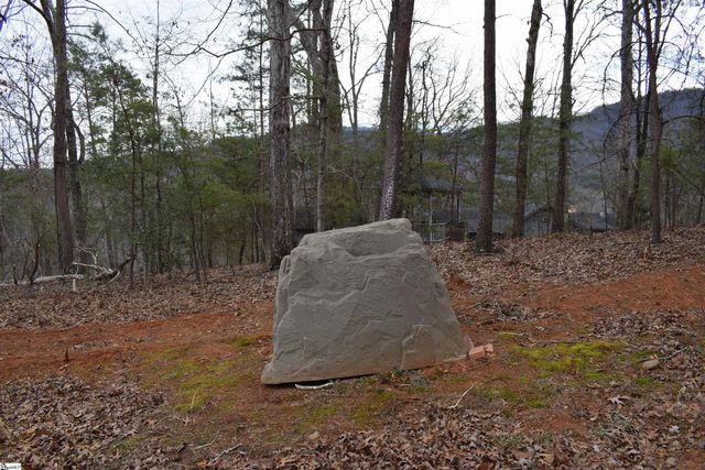 172 Winter Lane, Mill Spring, NC 28756