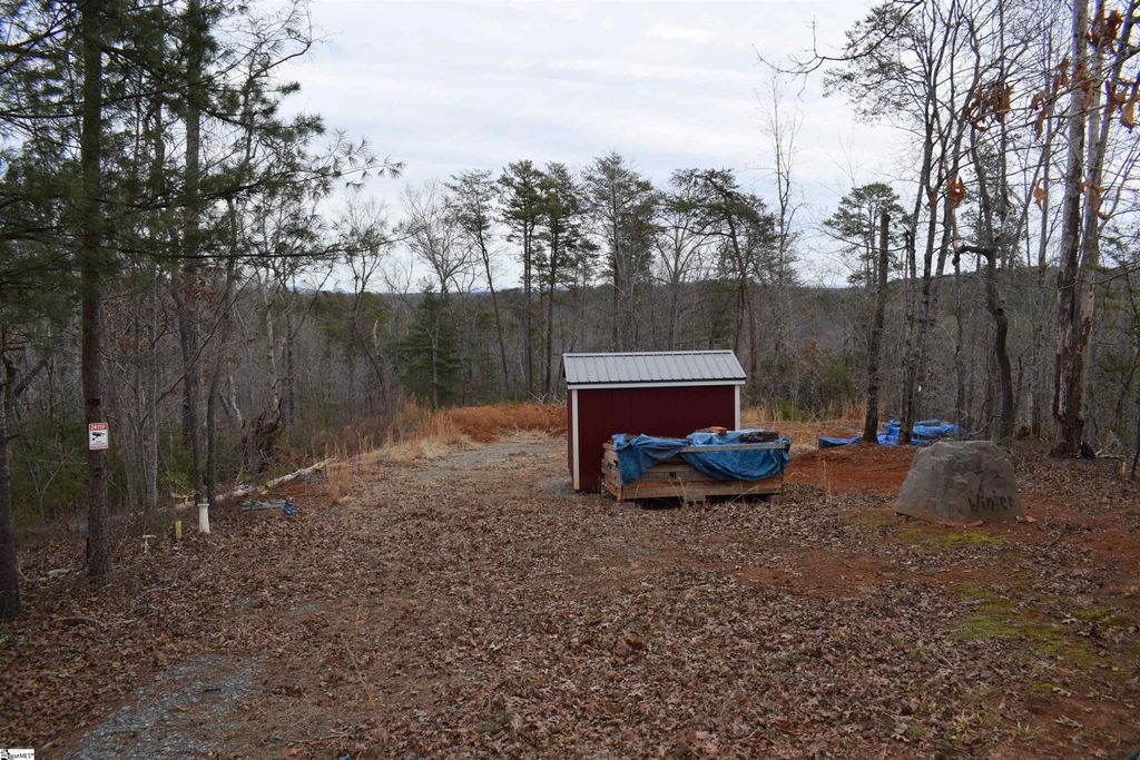 172 Winter Lane, Mill Spring, NC 28756