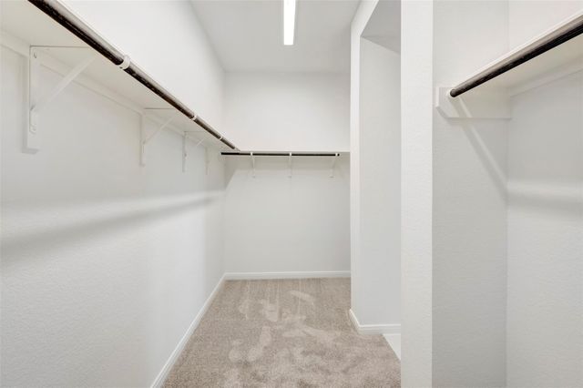 16303 Blue Mistflower Lane, Hockley, TX 77447