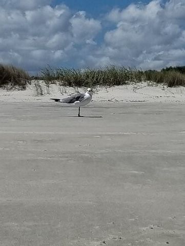 802 Reserve Lane, St Simons Island, GA 31522