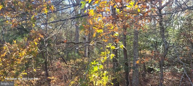 ROCK POINT, Newburg, MD 20664