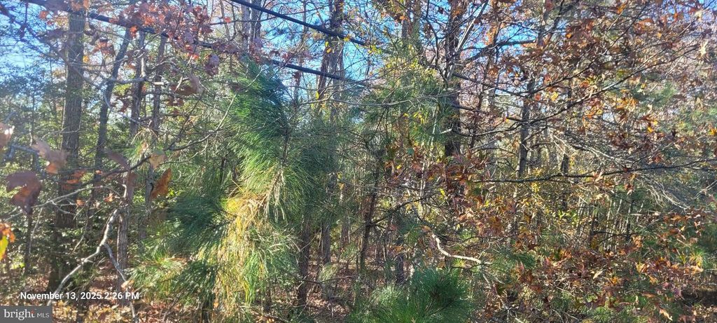 ROCK POINT, Newburg, MD 20664