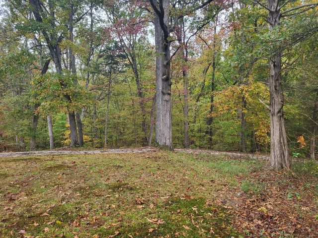 60 White Oak Dr, Big Sandy, TN 38221