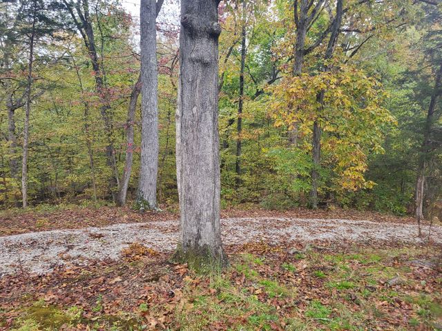 60 White Oak Dr, Big Sandy, TN 38221