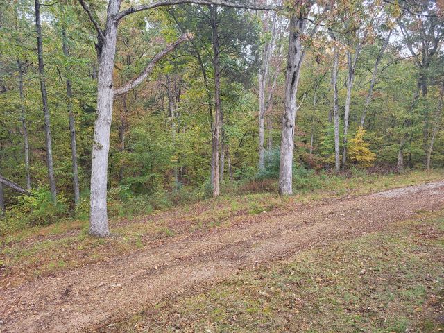 60 White Oak Dr, Big Sandy, TN 38221