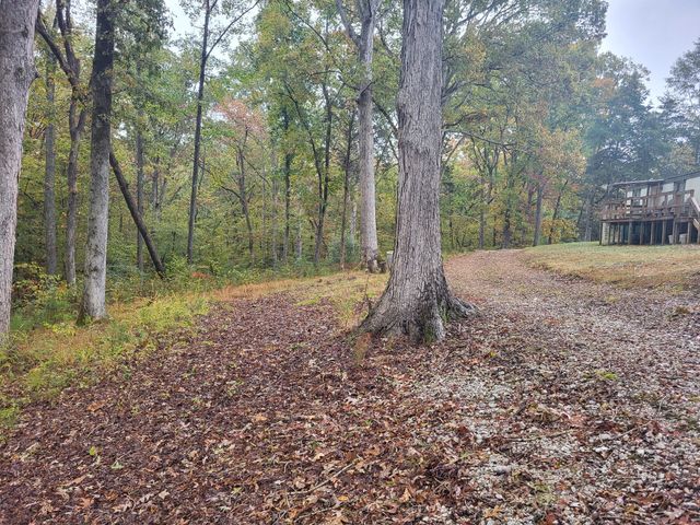 60 White Oak Dr, Big Sandy, TN 38221