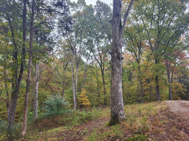 60 White Oak Dr, Big Sandy, TN 38221