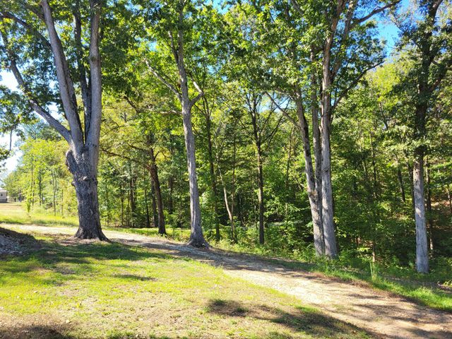 60 White Oak Dr, Big Sandy, TN 38221