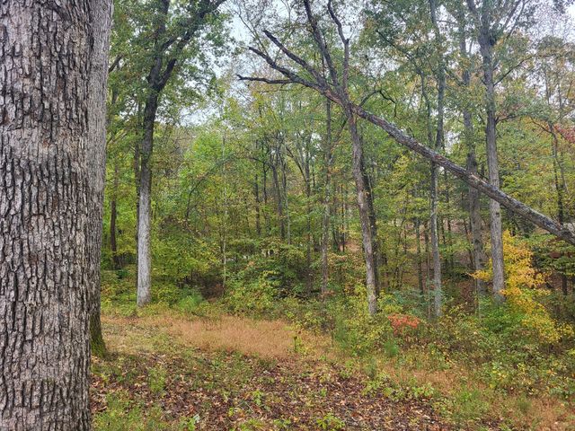 60 White Oak Dr, Big Sandy, TN 38221