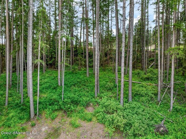 NKA Baja Lot 2 Ln, Oldtown, ID 83822