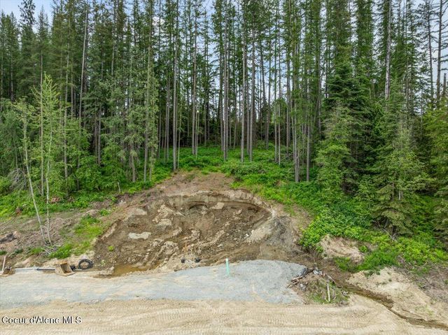 NKA Baja Lot 2 Ln, Oldtown, ID 83822