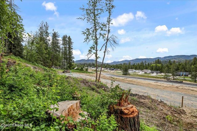 NKA Baja Lot 2 Ln, Oldtown, ID 83822