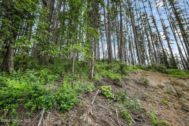 NKA Baja Lot 2 Ln, Oldtown, ID 83822