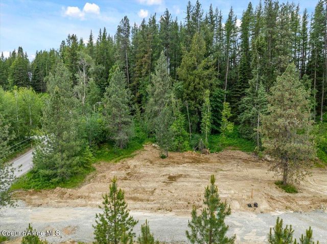 NKA Baja Lot 2 Ln, Oldtown, ID 83822