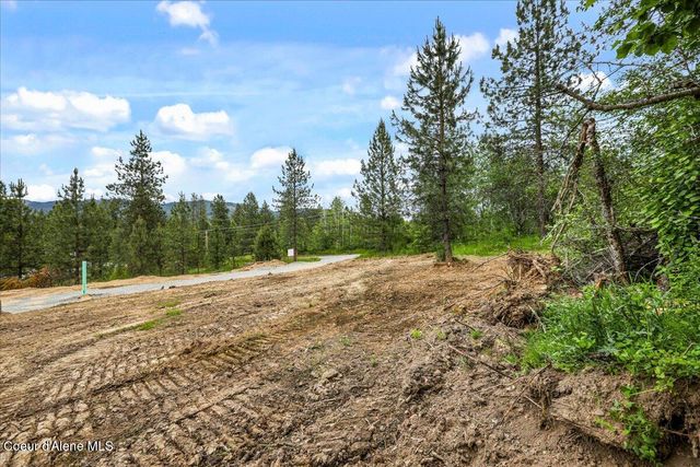 NKA Baja Lot 2 Ln, Oldtown, ID 83822