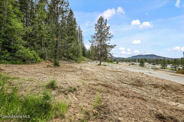 NKA Baja Lot 2 Ln, Oldtown, ID 83822