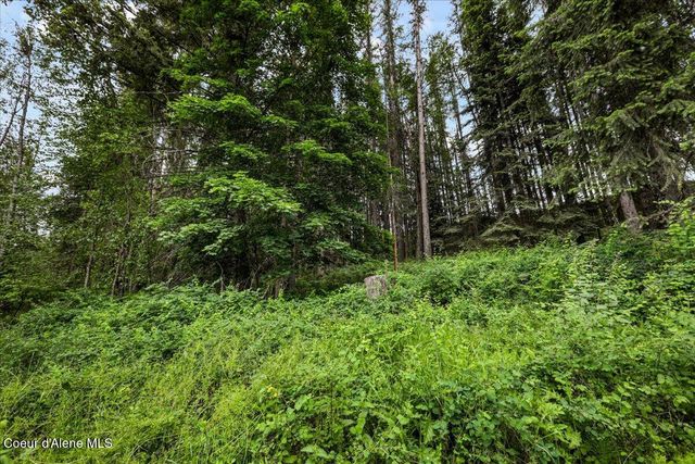 NKA Baja Lot 2 Ln, Oldtown, ID 83822