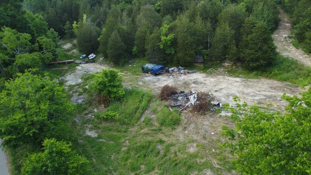 738 Rogues Fork Rd, Bethpage, TN 37022