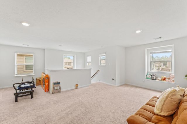 4010 Shady Palmetto Drive, Houston, TX 77068