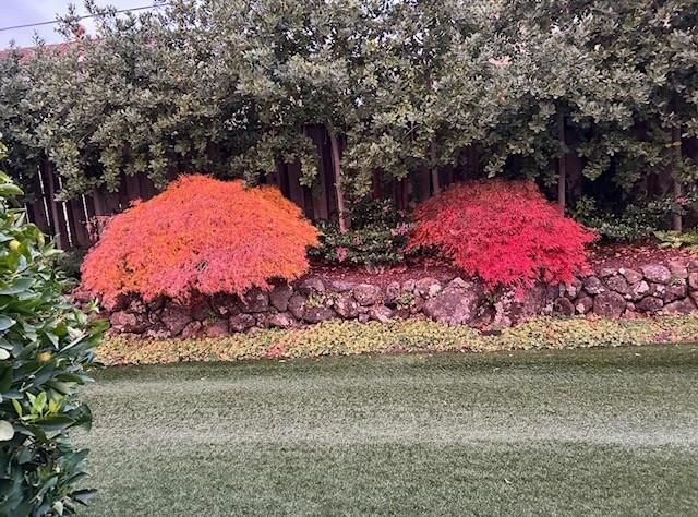 22408 Balustrol Court, Cupertino, CA 95014