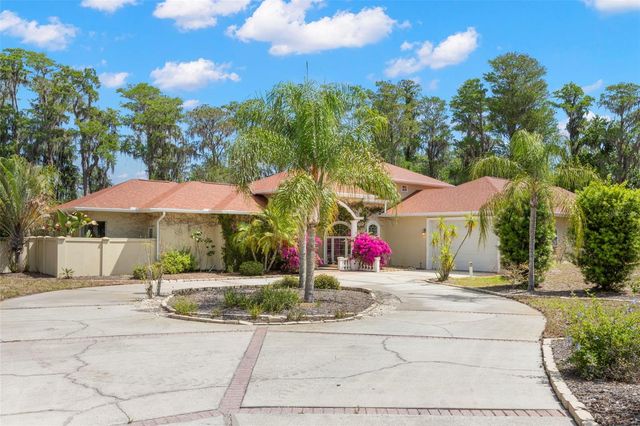 19229 BLOUNT ROAD, Lutz, FL 33558