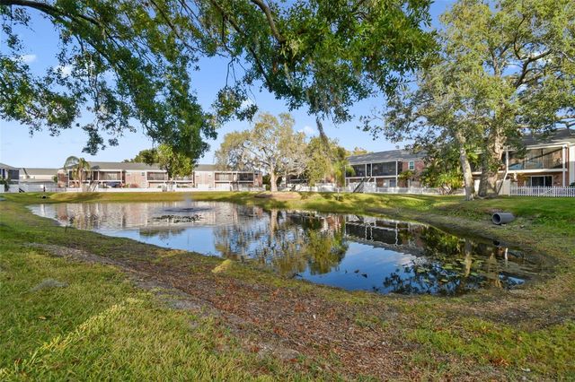 13691 ORANGE SUNSET DRIVE 201, Tampa, FL 33618