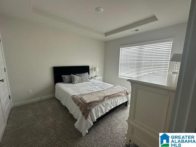 5634 CHESHIRE COVE PLACE, Mccalla, AL 35111