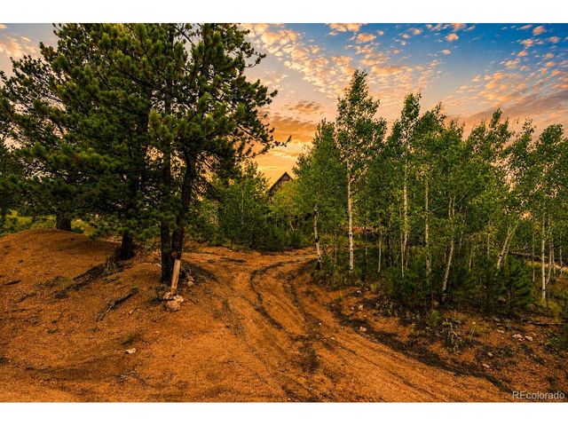 229 Mcdougal Rd, Bailey, CO 80421