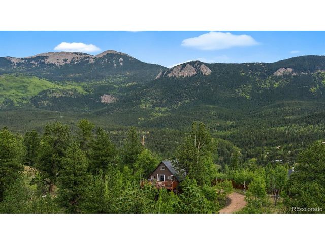229 Mcdougal Rd, Bailey, CO 80421