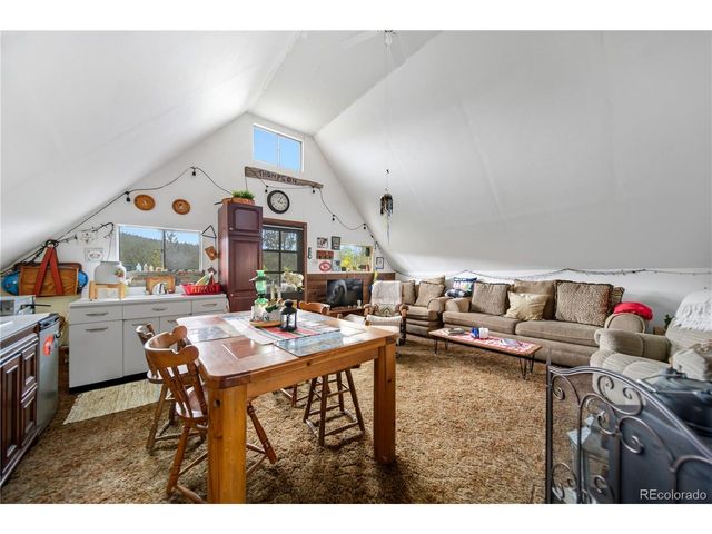 229 Mcdougal Rd, Bailey, CO 80421