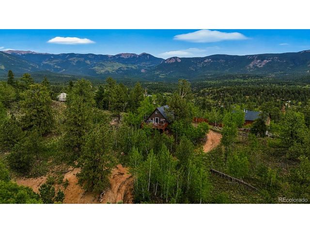 229 Mcdougal Rd, Bailey, CO 80421